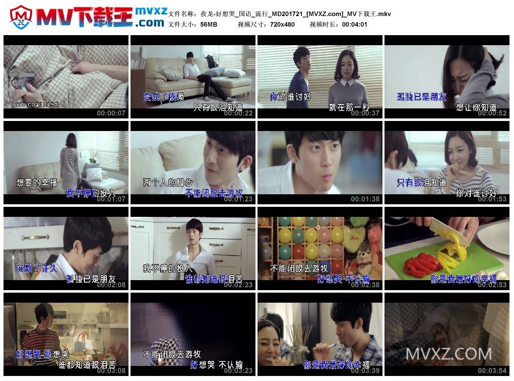 孜龙-好想哭_国语_流行_MD201721